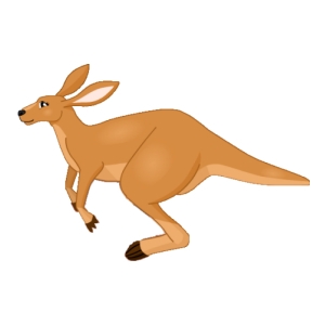 Hopping Kangaroo